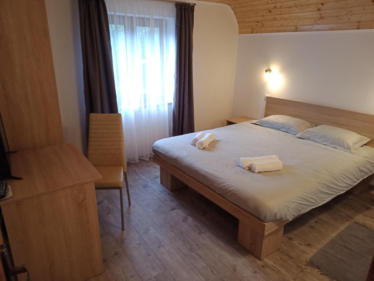 Villa Casa Iulia & Matei à Cîrţişoara Extérieur photo