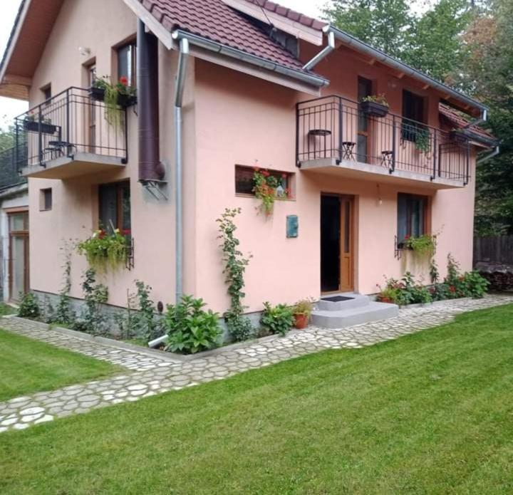 Villa Casa Iulia & Matei à Cîrţişoara Extérieur photo