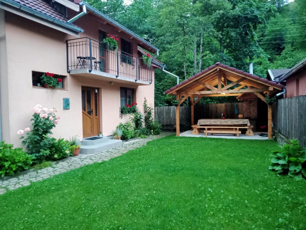 Villa Casa Iulia & Matei à Cîrţişoara Extérieur photo