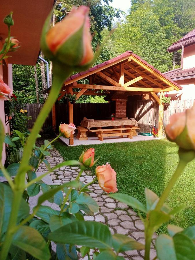 Villa Casa Iulia & Matei à Cîrţişoara Extérieur photo