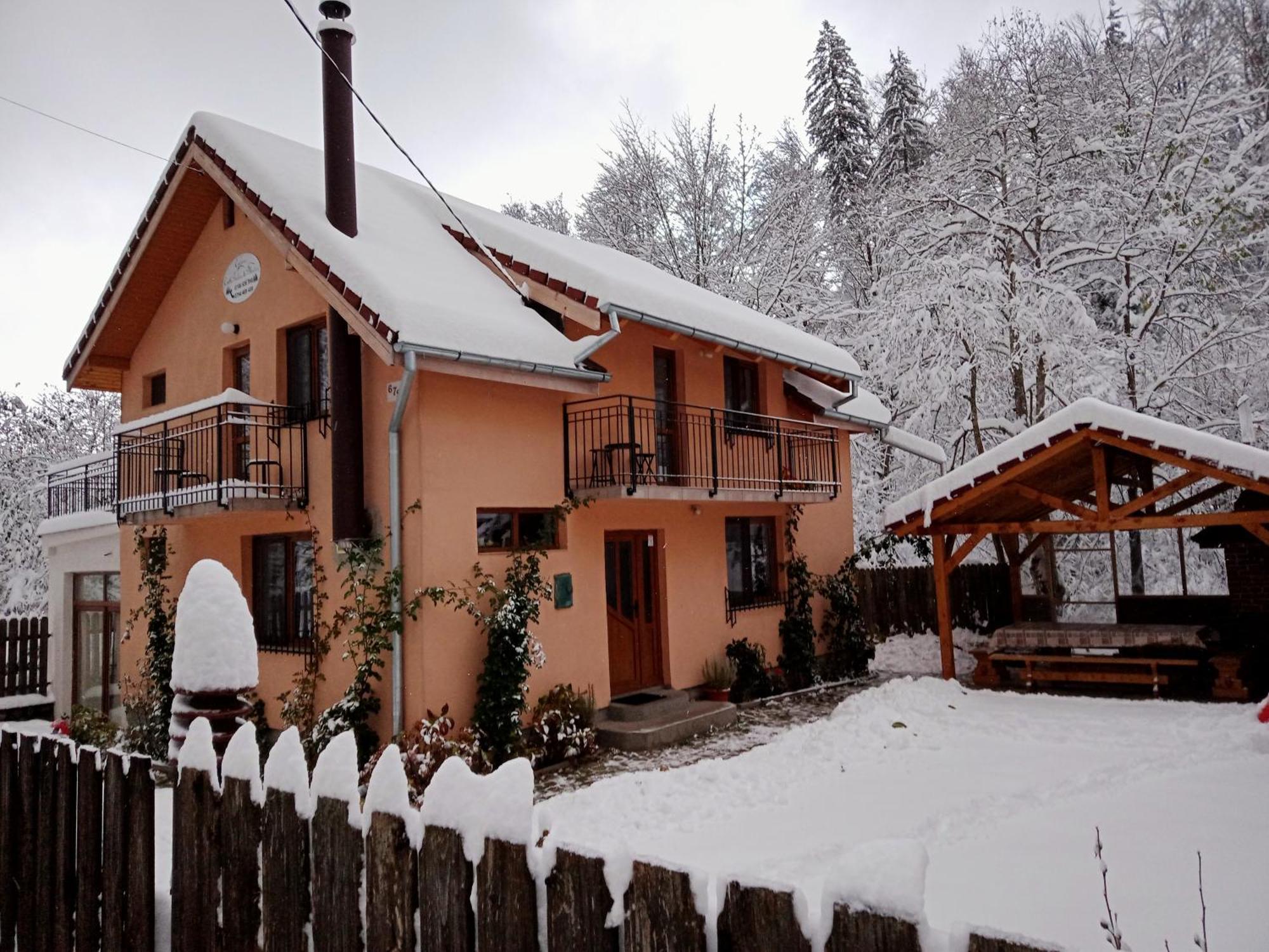 Villa Casa Iulia & Matei à Cîrţişoara Extérieur photo