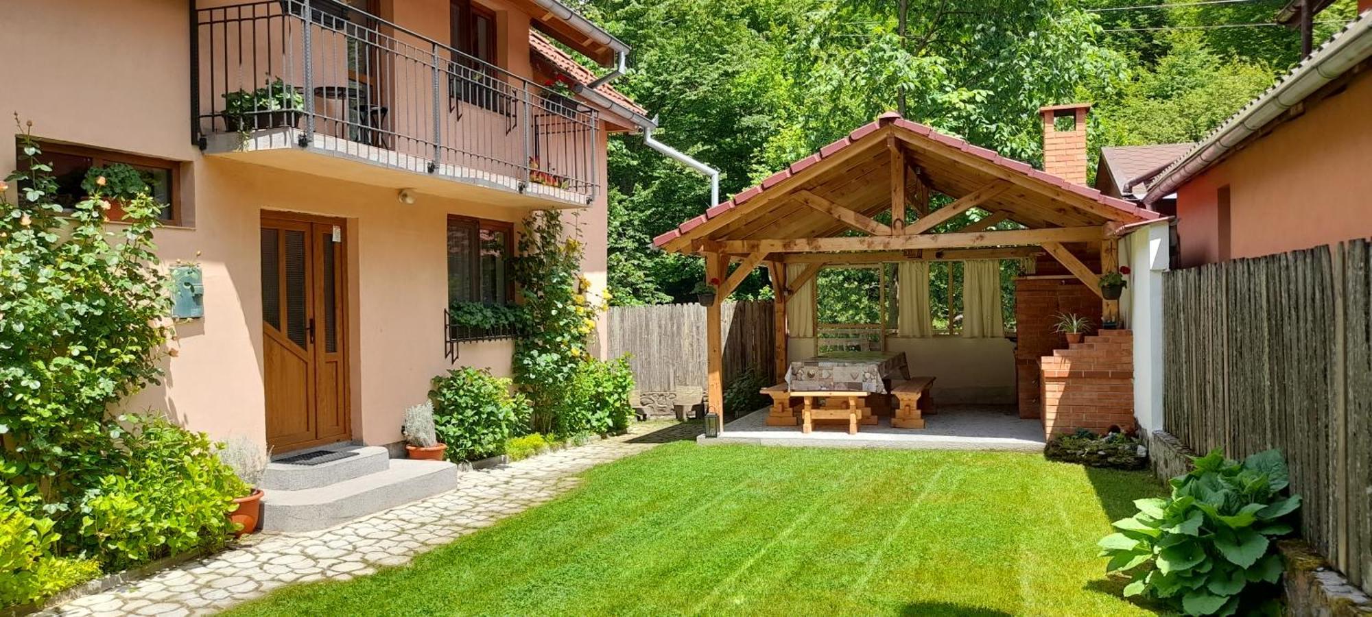 Villa Casa Iulia & Matei à Cîrţişoara Extérieur photo