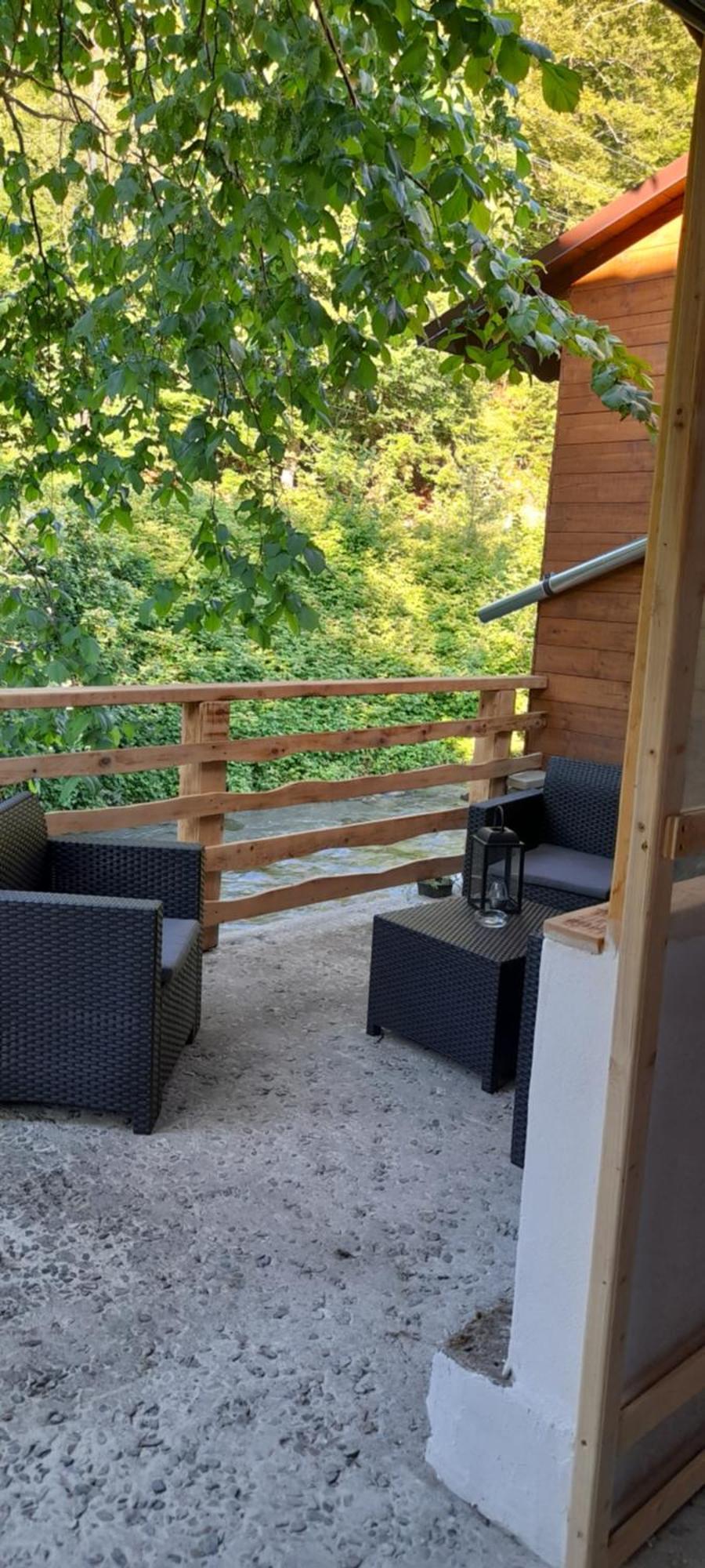 Villa Casa Iulia & Matei à Cîrţişoara Extérieur photo